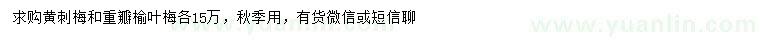 求购黄刺梅、重瓣榆叶梅