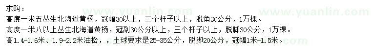 求购高1.5、1.8以上米丛生北海道黄杨、高1.4-1.6、1.9-2.2米油松