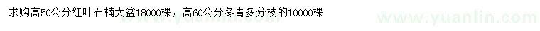 求购高50公分红叶石楠、高60公分冬青