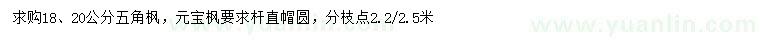 求购18、20公分五角枫、元宝枫