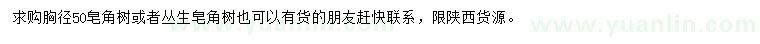 求购胸径50公分皂角或丛生皂角