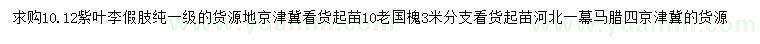 求购10、12公分紫叶李、10公分老国槐