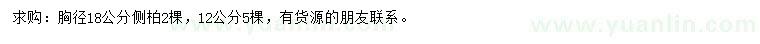 求购胸径12、18公分侧柏