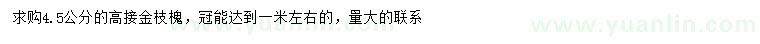 求购4.5公分高接金枝槐