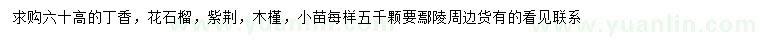 求购丁香、花石榴、紫荆等