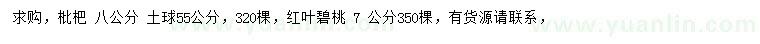 求购8公分枇杷、7公分红叶碧桃