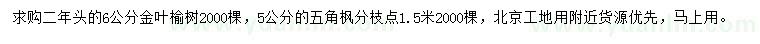求购6公分金叶榆、5公分五角枫