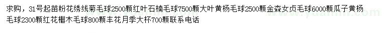 求购粉花绣线菊毛球、 红叶石楠毛球、大叶黄杨毛球等