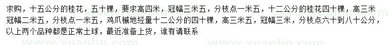 求购12、15公分桂花、地径12公分鸡爪槭