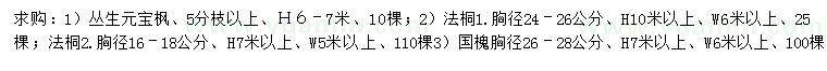 求购丛生元宝枫、法桐、国槐