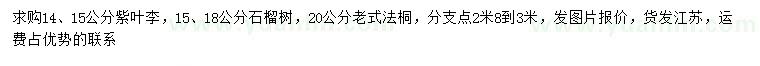 求购紫叶李、石榴树、老式法桐