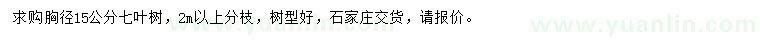 求购胸径15公分七叶树