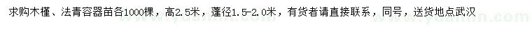 求购高2.5米木槿、法青