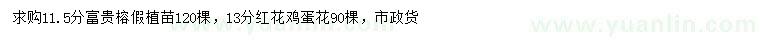 求购11.5公分富贵榕、13公分红花鸡蛋花