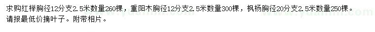 求购红榉、重阳木、枫杨