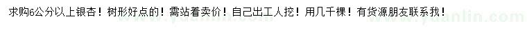 求购6公分以上银杏