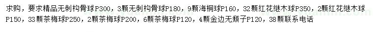 求购无刺构骨球、海桐球、红花檵木球等