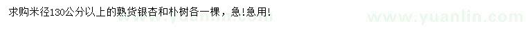 求购米径130公分以上银杏、朴树