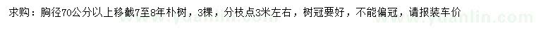 求购胸径70公分以上朴树