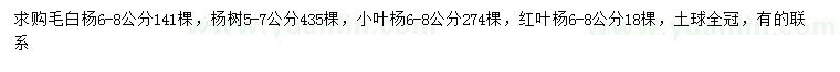 求购毛白杨、杨树、小叶杨等