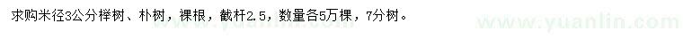 求购米径3公分榉树、朴树