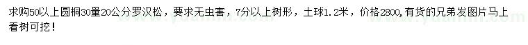求购50公分以上圆桐、30量20公分罗汉松