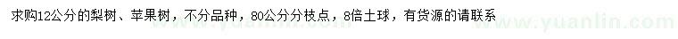 求购12公分梨树、苹果树