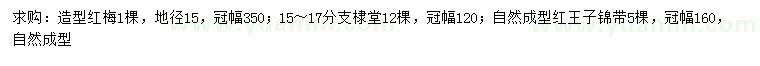 求购造型红梅、棣堂、红王子锦带