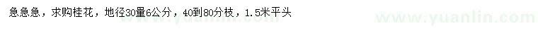 求购地径30量6公分桂花