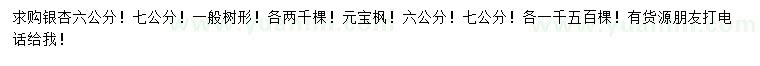 求购6、7公分银杏、元宝枫