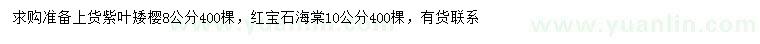 求购8公分紫叶矮樱、10公分红宝石海棠