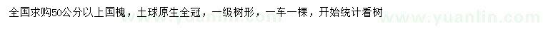 求购50公分以上国槐