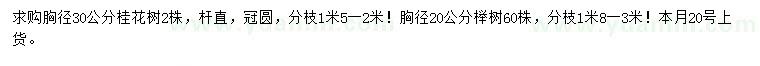 求购胸径30公分桂花、胸径20公分榉树