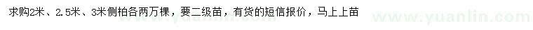 求购2、2.5、3米侧柏