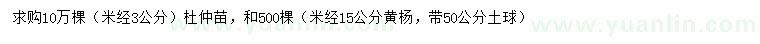 求购米径3公分杜仲、米径15公分黄杨