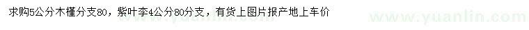 求购5公分木槿、4公分紫叶李