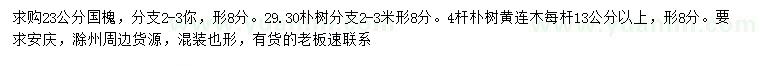 求购国槐、朴树、黄连木