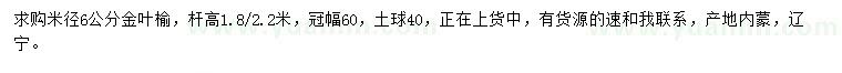 求购米径6公分金叶榆