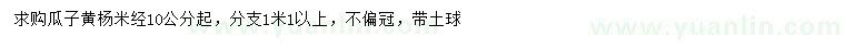 求购米径10公分以上瓜子黄杨