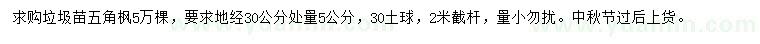 求购30量5公分五角枫