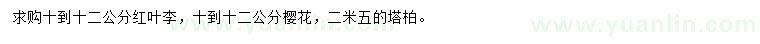 求购红叶李、樱花、塔柏