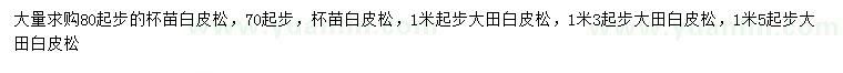 求购0.7、1、1.3、1.5米以上白皮松