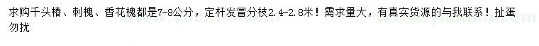 求购千头椿、刺槐、香花槐