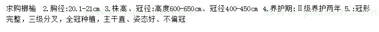 求购胸径20.1-21公分榔榆