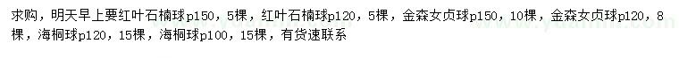 求购红叶石楠球、金森女贞球、海桐球