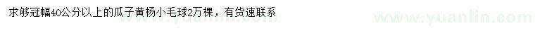 求购冠幅40公分以上瓜子黄杨球