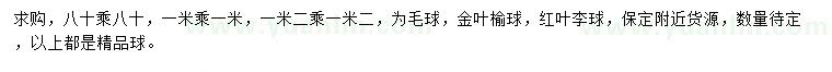 求购0.8、1、1.2米金叶榆球、红叶李球