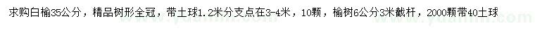 求购6、35公分白榆