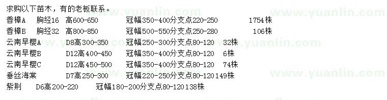 求购香樟、云南早樱、垂丝海棠等