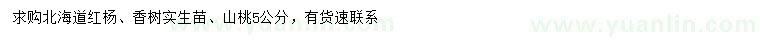求购北海道红杨、香树、山桃苗